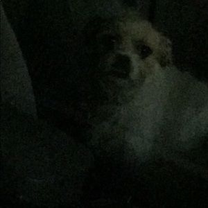 Meet your Posher, Jesse